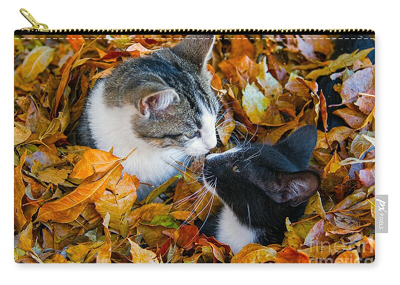 Sisterly Love Zip Pouch featuring the photograph Sisterly Love by Gary Holmes