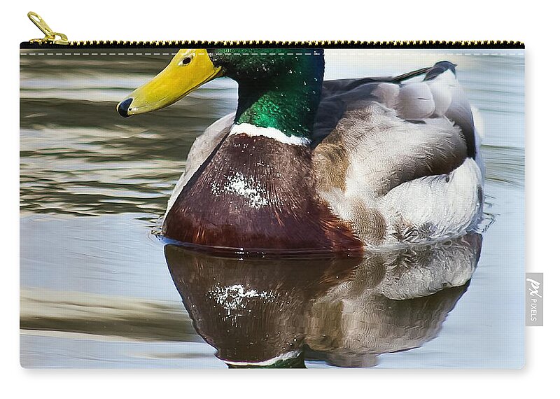 Duck Carry-all Pouch featuring the photograph Sitting Pretty by Nikki Vig
