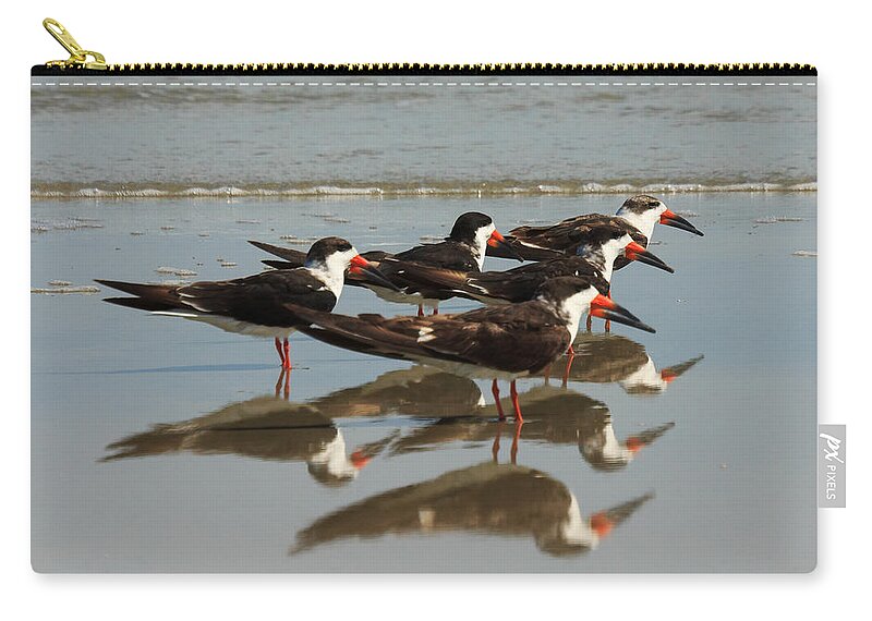 Skimmer Zip Pouch featuring the photograph Skimmers with Reflection by Patricia Schaefer