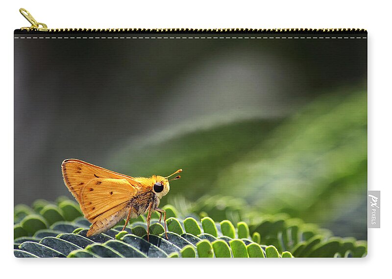 Macro Zip Pouch featuring the photograph Skipper Butterfly on Mimosa Leaf by Jason Politte
