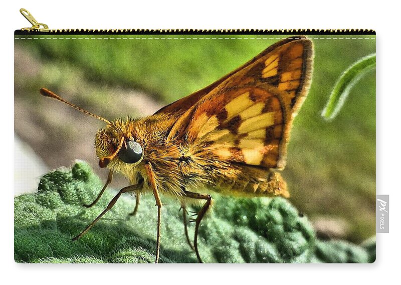 Butterfly Zip Pouch featuring the photograph Skipper by Jennifer Wheatley Wolf