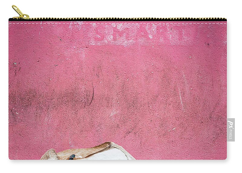 Animal Themes Zip Pouch featuring the photograph Sleeping Goat Near A Pink Wall by Karthi Kn Raveendiran