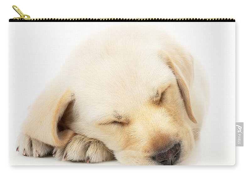 Adorable Zip Pouch featuring the photograph Sleeping Labrador Puppy by Johan Swanepoel