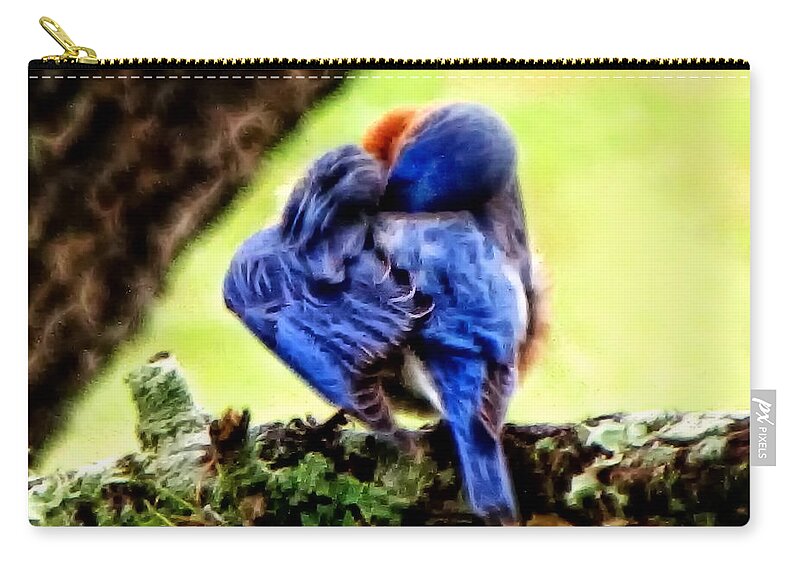 Bluebird Zip Pouch featuring the photograph Sleepy Bluebird by Lucy VanSwearingen