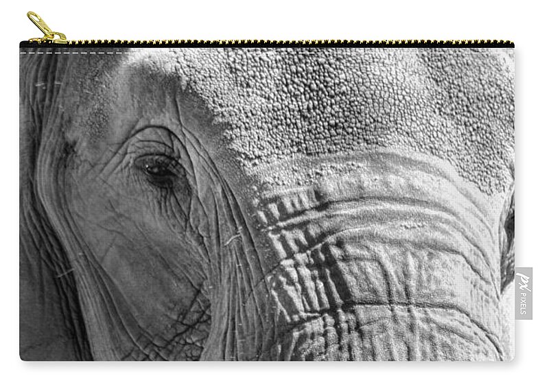 Elephant Zip Pouch featuring the photograph Sleepy Elephant Lady Black and White by Kathy Clark