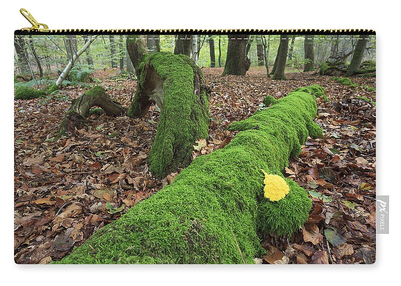 Heike Odermatt Zip Pouch featuring the photograph Slime Mold With Moss In Beech Forest by Heike Odermatt