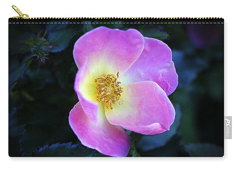Wild Rose Zip Pouch featuring the photograph Smile by Milena Ilieva