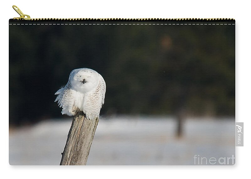 Snowy Owl Zip Pouch featuring the photograph Smiling Snowy by Cheryl Baxter