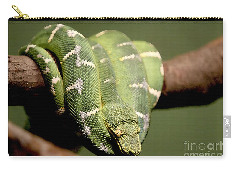 Bronx Zoo Zip Pouch featuring the photograph Snake Eyes by Rick Kuperberg Sr