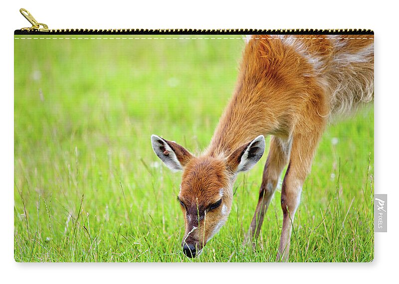 Grass Zip Pouch featuring the photograph Sniff by Chalk Photography