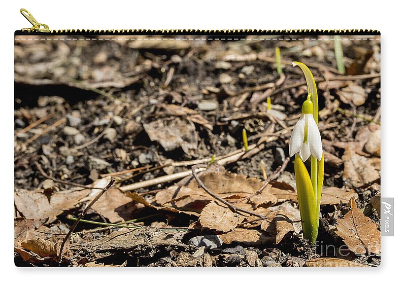Snowbell Carry-all Pouch featuring the photograph Snow Bell Spring Has Sprung by Brad Marzolf Photography