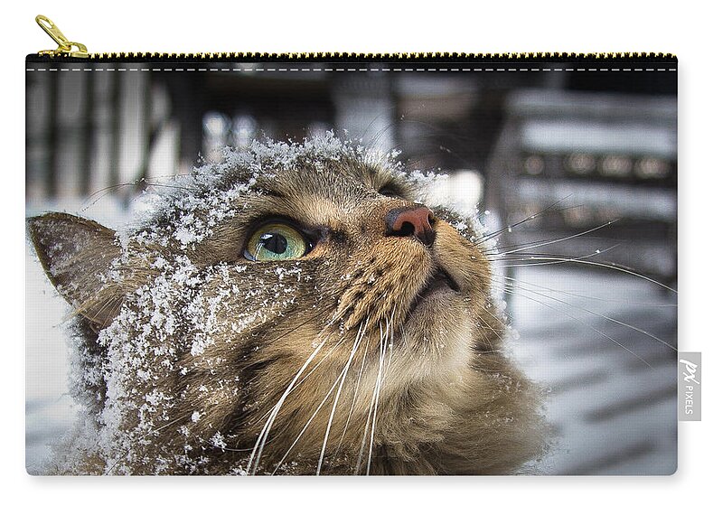 Cat Zip Pouch featuring the photograph Snow Cat by Shane Holsclaw