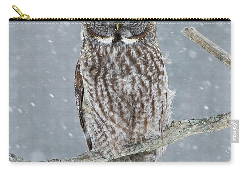 Alertness Zip Pouch featuring the photograph Snow Day by Bill Mcmullen