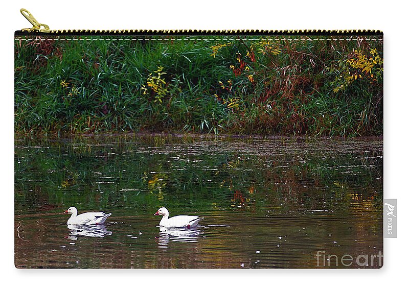 Pair Of Snowgeese Zip Pouch featuring the photograph Snow Geese Swim by Elizabeth Winter