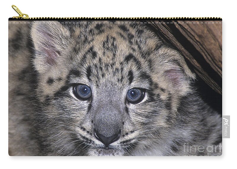 Asia Carry-all Pouch featuring the photograph Snow Leopard Cub ENDANGERED by Dave Welling