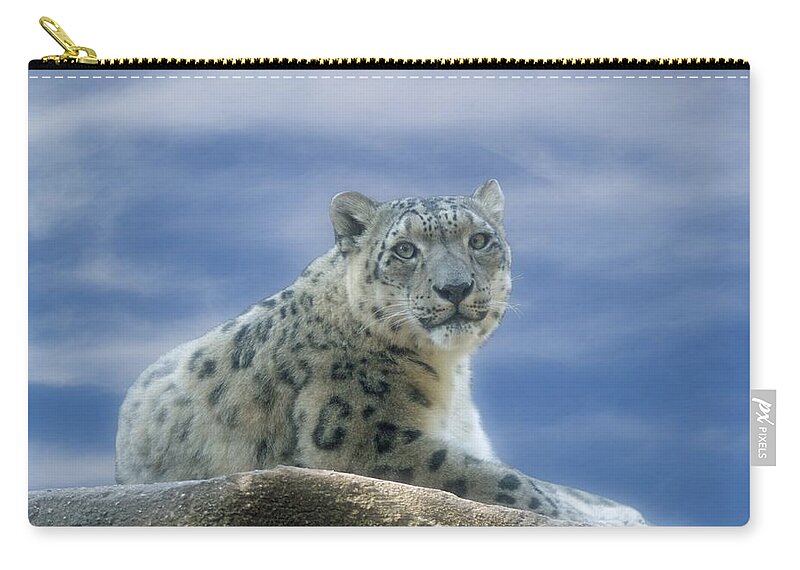 Snow Leopard Zip Pouch featuring the photograph Snow Leopard by Sandy Keeton