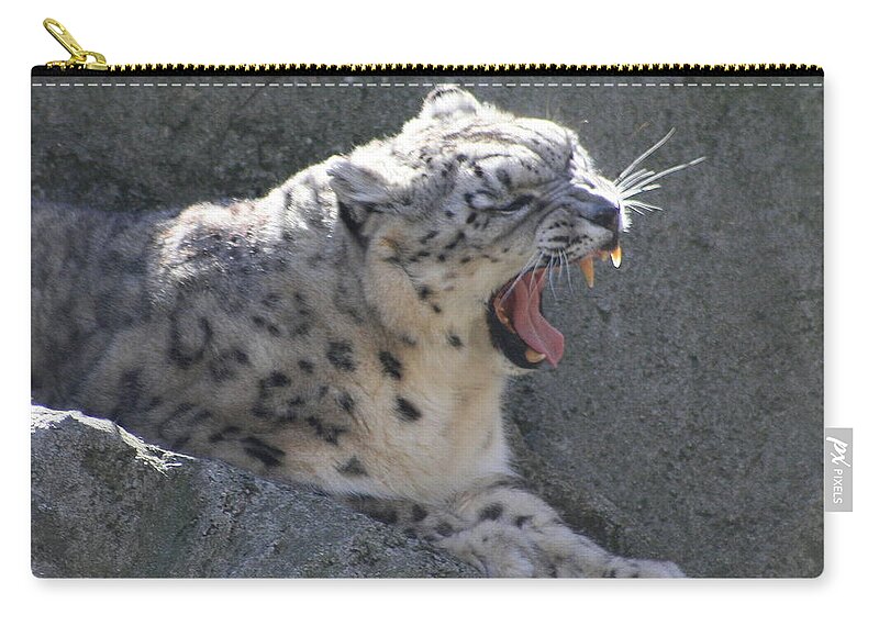Panthera Uncia Zip Pouch featuring the photograph Snow Leopard Yawn by Neal Eslinger