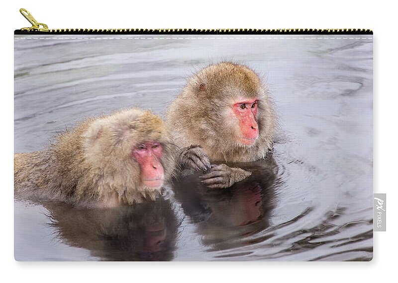 Standing Water Zip Pouch featuring the photograph Snow Monkey by I Love Photo And Apple.