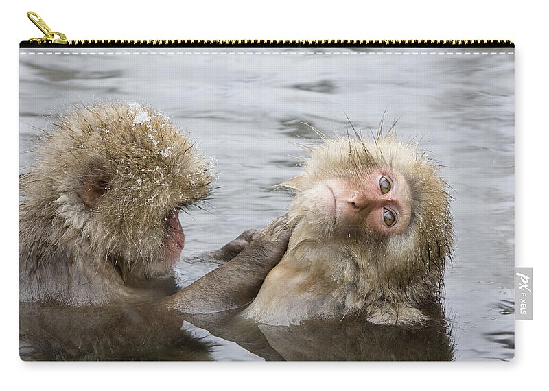 Flpa Zip Pouch featuring the photograph Snow Monkeys Grooming by Dickie Duckett