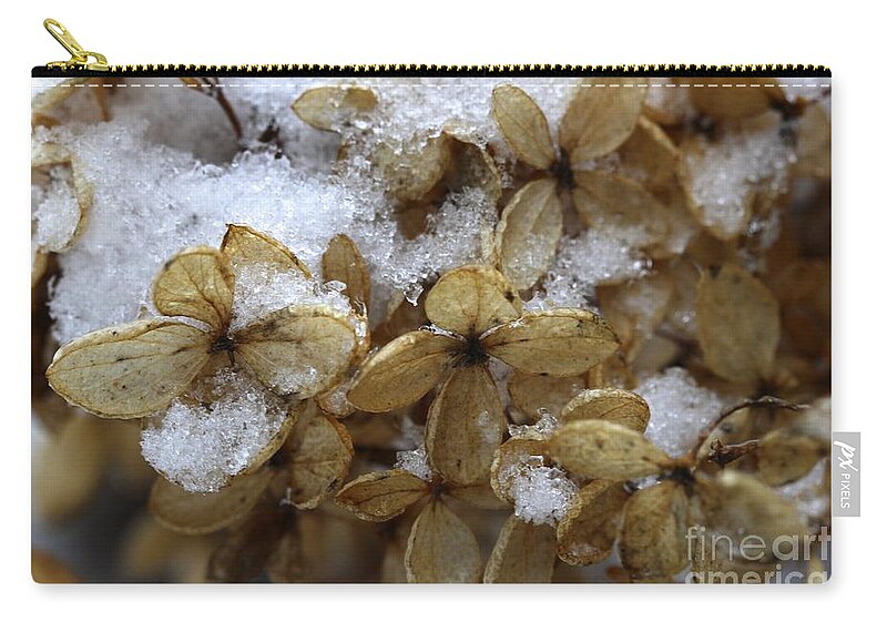 Snow Zip Pouch featuring the photograph Snow on hydrangea by Jim Gillen