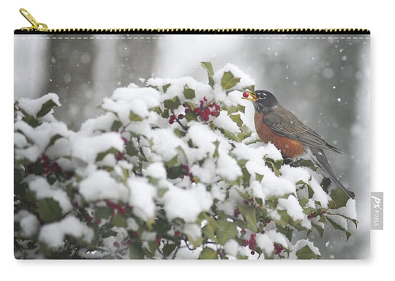 Snow Zip Pouch featuring the photograph Snow Robin by Terry DeLuco