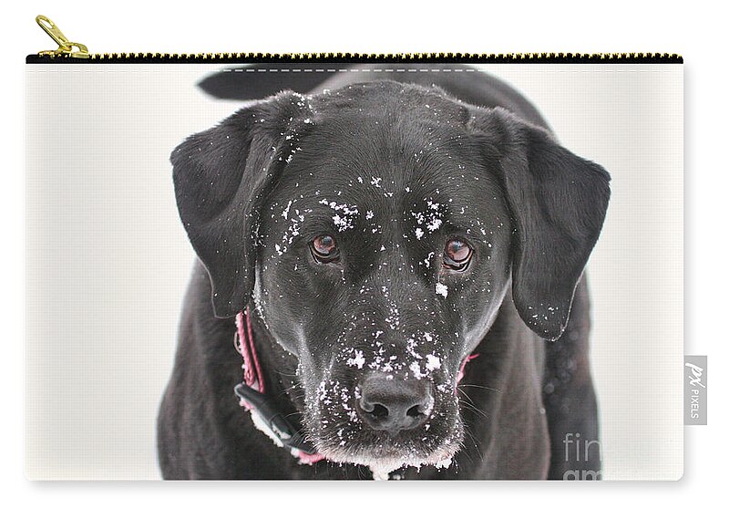 Black Zip Pouch featuring the photograph Snowball by Jayne Carney