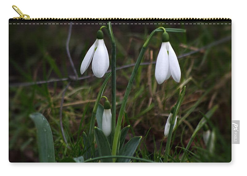 Nature Zip Pouch featuring the photograph Snowdrops by Spikey Mouse Photography