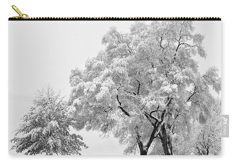 Snow Zip Pouch featuring the photograph Snowstorm swing by Al Mueller