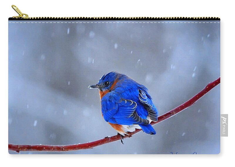 Nature Zip Pouch featuring the photograph Snowy Bluebird by Nava Thompson