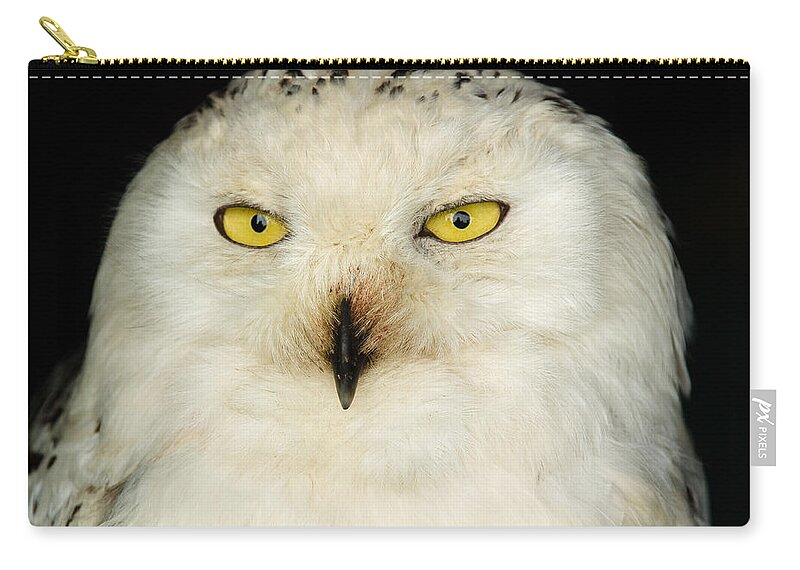Barn Zip Pouch featuring the photograph Snowy Owl by Mark Llewellyn