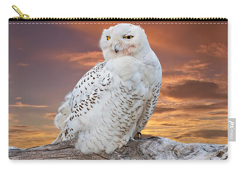 Animal Carry-all Pouch featuring the photograph Snowy Owl Perched at Sunset by Jeff Goulden