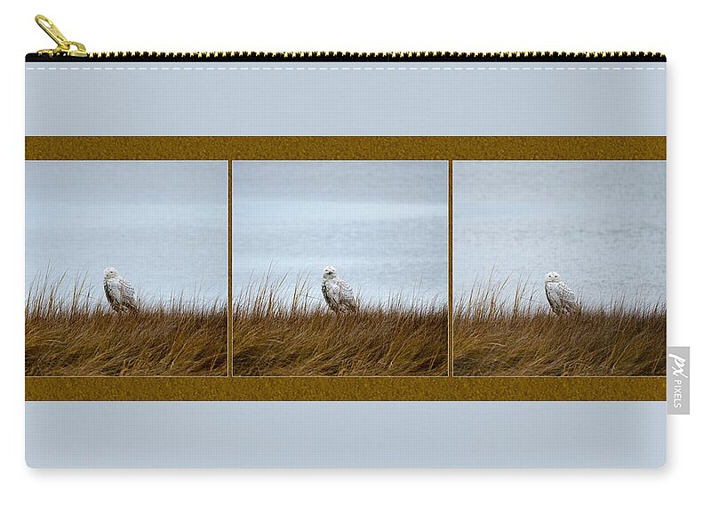 Snowy Owl Zip Pouch featuring the photograph Snowy Owl Triptych by Crystal Wightman