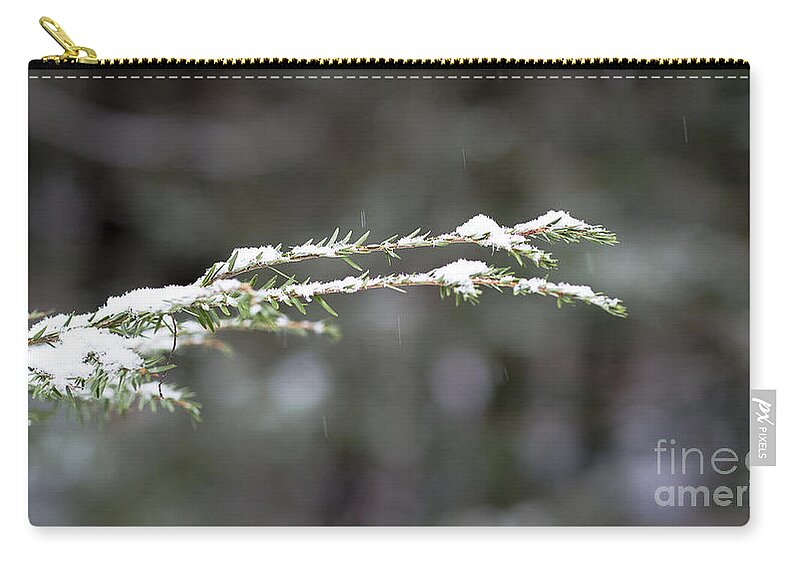 Christmas Zip Pouch featuring the photograph Snowy pine by Steven Ralser