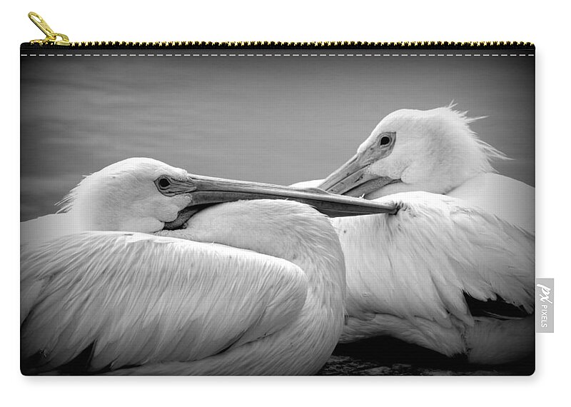 White Pelicans Zip Pouch featuring the photograph Snuggly Pelicans 2 by Laurie Perry