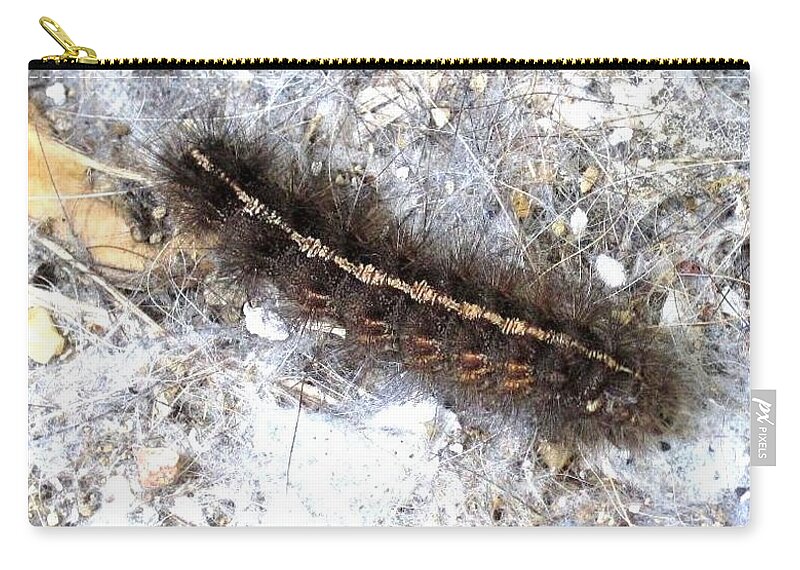 Caterpillar Zip Pouch featuring the photograph So Fuzzy by Kristalin Davis by Kristalin Davis