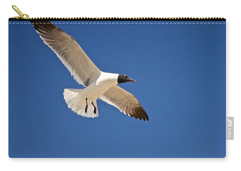 Seagull Print Zip Pouch featuring the photograph Soaring Above the Sea by Kristina Deane