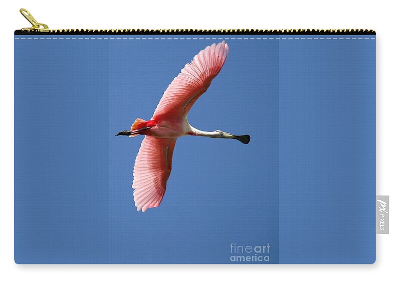 Animal Zip Pouch featuring the photograph Soaring High Roseate Spoonbill by Sabrina L Ryan