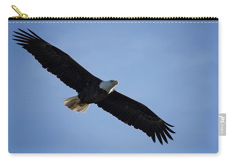 Eagle Zip Pouch featuring the photograph Soaring by Kim Hojnacki