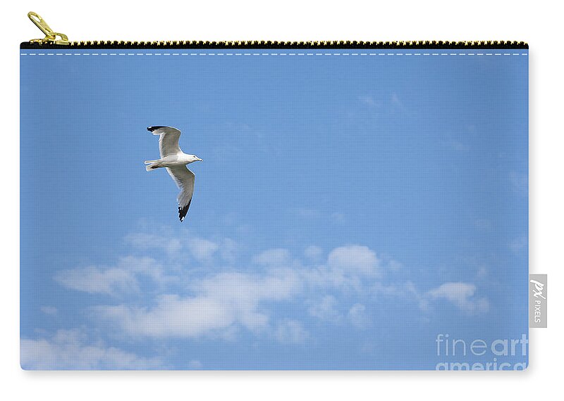 Seagull Zip Pouch featuring the photograph Soaring Seagull by Patty Colabuono