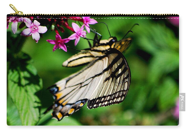 Becky Furgason Zip Pouch featuring the photograph #shestealssweets by Becky Furgason