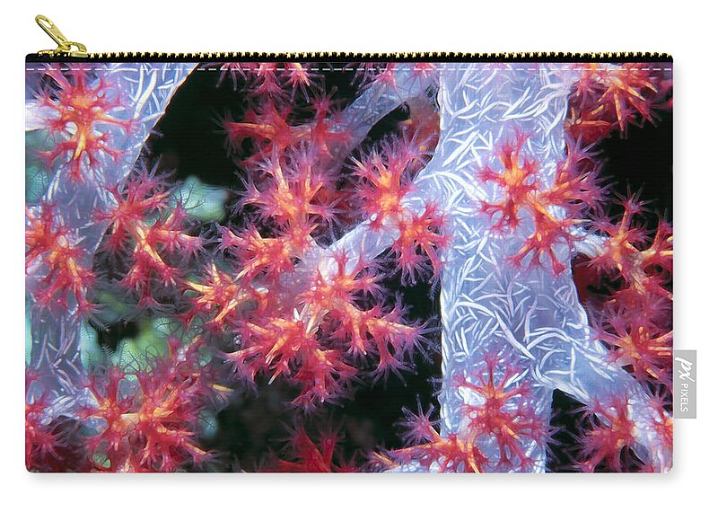 Micronesia Zip Pouch featuring the photograph Soft Corals 18 by Dawn Eshelman