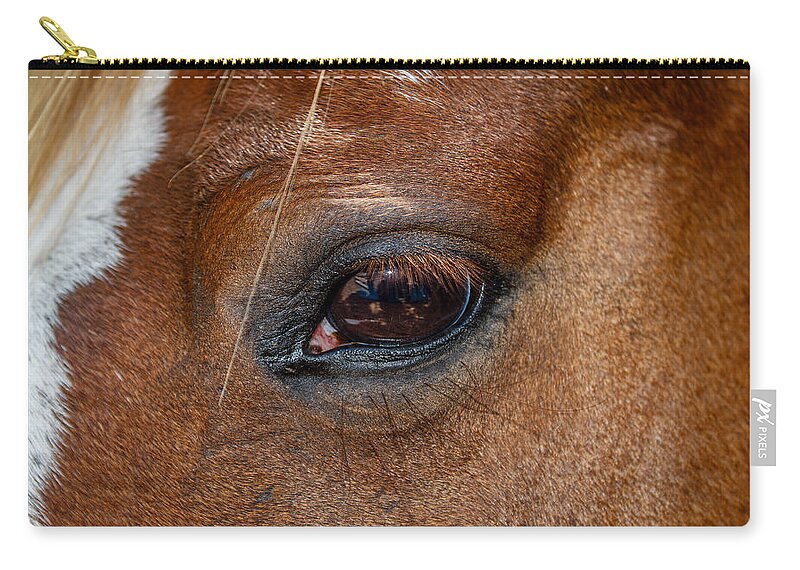 Animal Eye Zip Pouch featuring the photograph Soft Eye by Doug Long
