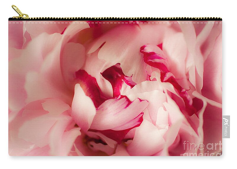 Pink Zip Pouch featuring the photograph Soft Peony by Ana V Ramirez