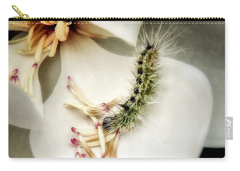 Magnolia Canvas Print Zip Pouch featuring the photograph Softest Little Gem by Lucy VanSwearingen