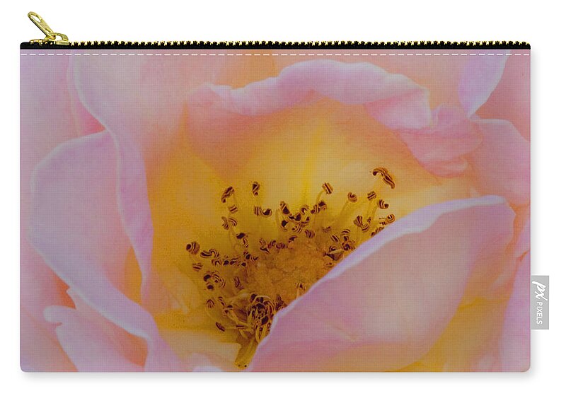 Shabby Chic Zip Pouch featuring the photograph Softly Rose by Theresa Tahara