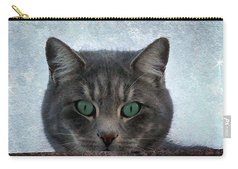 Cat Zip Pouch featuring the photograph Someone's Watching You by Ellen Heaverlo