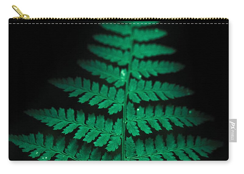 Fern Zip Pouch featuring the photograph Soothing Fern by Shane Holsclaw