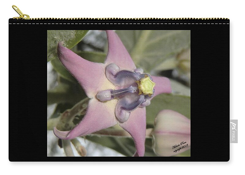 Unusual Zip Pouch featuring the photograph Soulful Star by Michele Penn