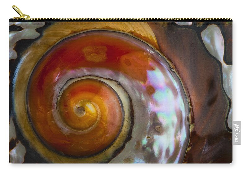 South African Carry-all Pouch featuring the photograph South African Turban Shell by Carol Leigh
