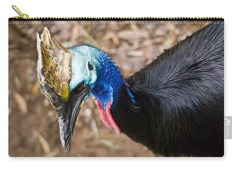 Cassorary Carry-all Pouch featuring the photograph Southern Cassowary Portrait by Douglas Barnett